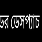 উডের ডেসপ্যাচ কী