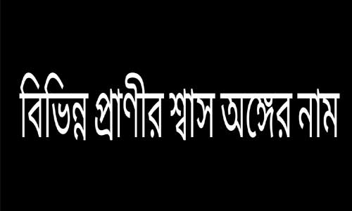 বিভিন্ন প্রাণীর শ্বাস অঙ্গের নাম 