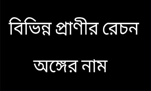 বিভিন্ন প্রাণীর রেচন অঙ্গের নাম